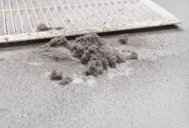 Best Air Duct Cleaning Near Me  in Utqiagvik, AK